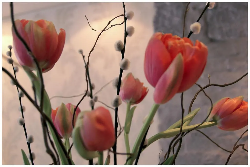 ***  Platzhirsch Zuerich - Downtown Boutique Hotel & Sushi Lounge Switzerland